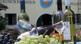 Weinfest  des ASV Degernbach